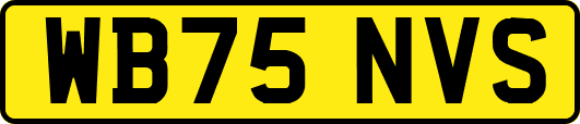 WB75NVS
