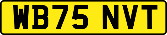 WB75NVT