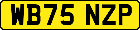 WB75NZP
