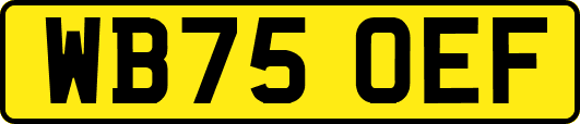 WB75OEF
