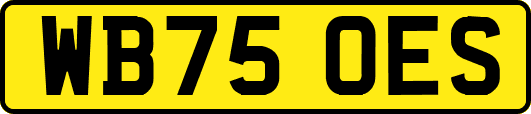 WB75OES