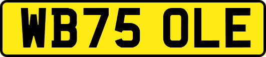 WB75OLE