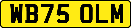 WB75OLM
