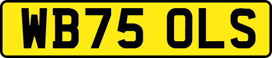 WB75OLS