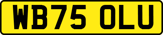 WB75OLU