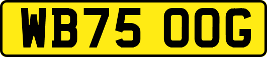 WB75OOG