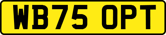 WB75OPT