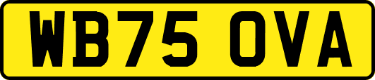 WB75OVA