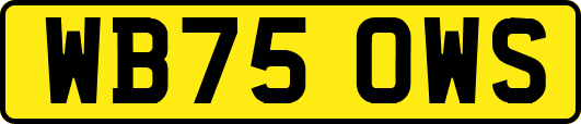 WB75OWS