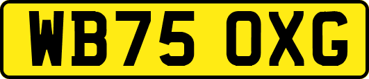 WB75OXG