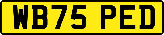 WB75PED