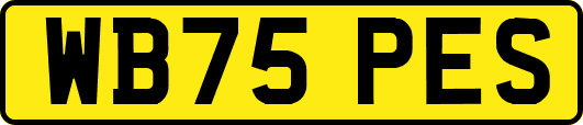 WB75PES