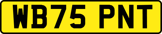 WB75PNT