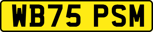 WB75PSM