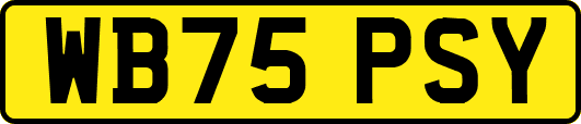 WB75PSY
