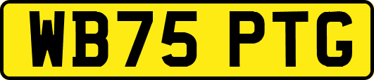 WB75PTG