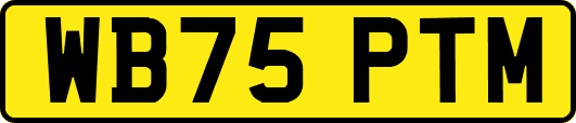 WB75PTM