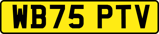 WB75PTV
