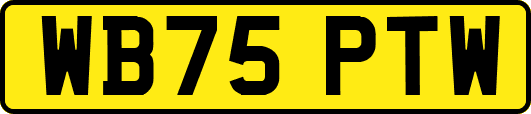 WB75PTW