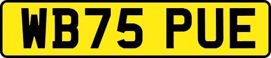 WB75PUE