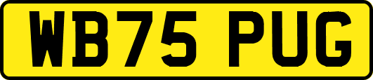 WB75PUG