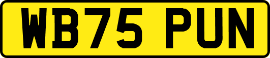 WB75PUN