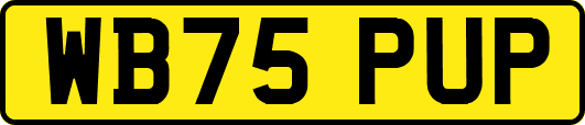 WB75PUP