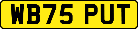 WB75PUT