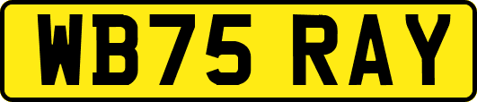WB75RAY