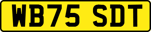 WB75SDT