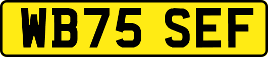 WB75SEF