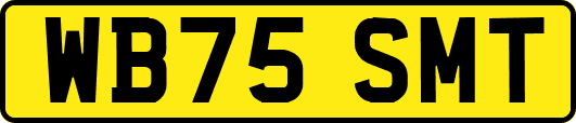 WB75SMT
