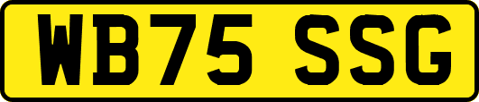 WB75SSG