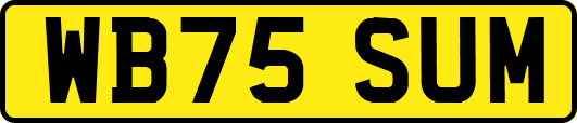 WB75SUM