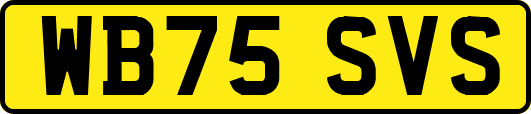 WB75SVS