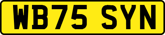 WB75SYN