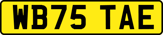 WB75TAE
