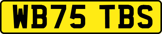 WB75TBS