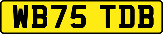 WB75TDB