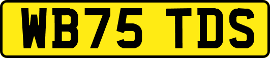 WB75TDS
