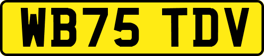 WB75TDV