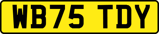 WB75TDY