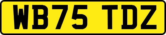WB75TDZ