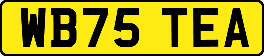 WB75TEA