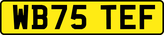 WB75TEF