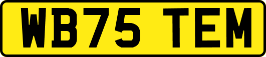 WB75TEM