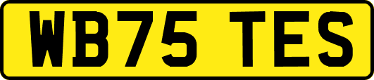 WB75TES