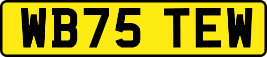 WB75TEW