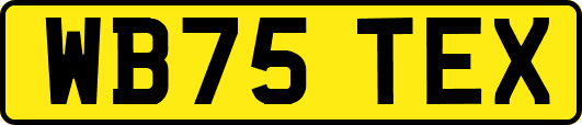 WB75TEX