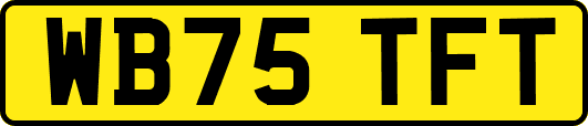 WB75TFT